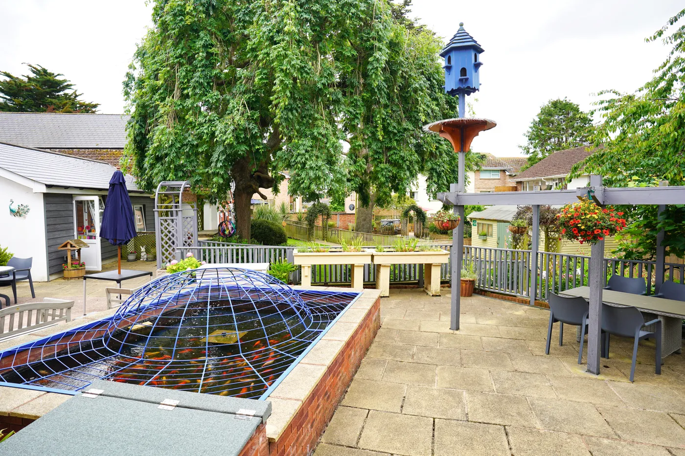 The raised koi pond on the paved terrace, with a pergola and the blue dovecote behind